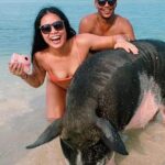 kohsamui.tours - Pig Island Snorkeling Eco Tour by Speed Boat - Detailed Review of the Pig Island Eco Tour