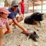 kohsamui.tours - Pig Island Snorkeling Eco Tour by Speed Boat - An In-Depth Look at the Experience