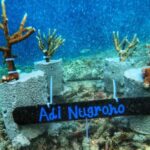 Komodo Conservation Tour with unique experience - Practical Details and What to Expect