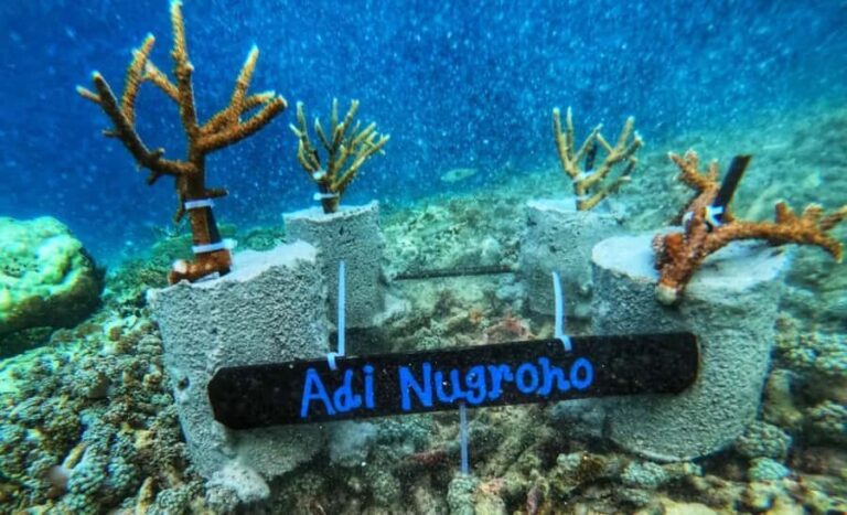 Komodo Conservation Tour with unique experience - Practical Details and What to Expect