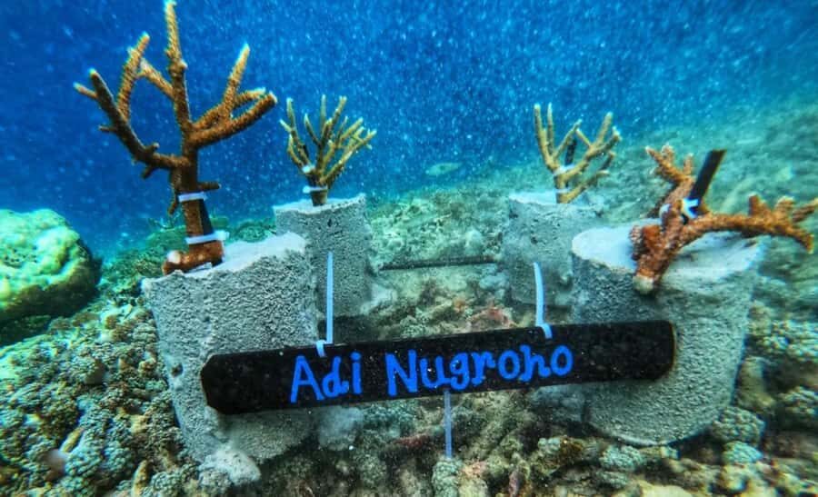 Komodo Conservation Tour with unique experience - What Makes This Tour Stand Out?