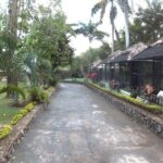 konoko waterfall and zoo - The Itinerary: What to Expect