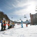 Korea Ski Tour from Seoul - Jisan Resort with Isaac Toast - What Makes This Tour Stand Out?