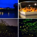 Kota Kinabalu: 5-in-1 Kinabalu View, Fire Show, Blue Tear - A Deep Dive Into the Experience