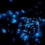 Kota Kinabalu: 5-in-1 Kinabalu View, Fire Show, Blue Tear - A Deeper Look at What’s Included