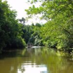 Kota Kinabalu: Beringgis Mangove Fireflies, Sunset Tour & Dinner - Practicalities and Value