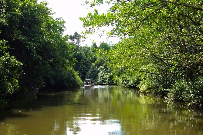 Kota Kinabalu: Beringgis Mangove Fireflies, Sunset Tour & Dinner - Practicalities and Value