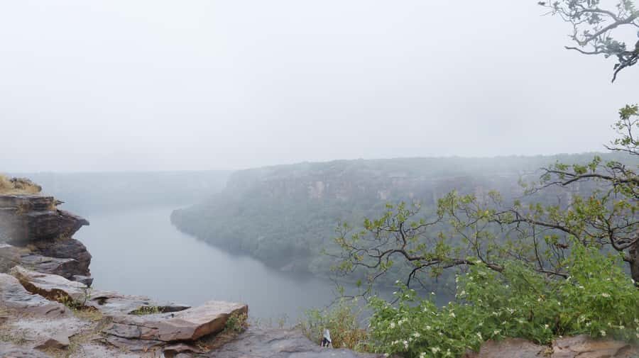 Kota: The Royal Retreat & Ekatra Workshop - Practical Details and Value