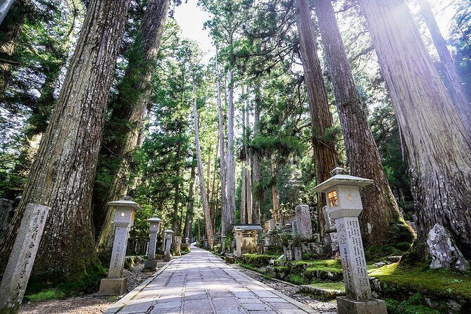 Koyasan Day Trip by Private Car from Osaka - A Deep Dive into the Koyasan Day Trip