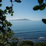 Kpiti Coast: Escarpment Track Guided Hiking Tour, Coffee + Lunch - What Travelers Say About This Experience