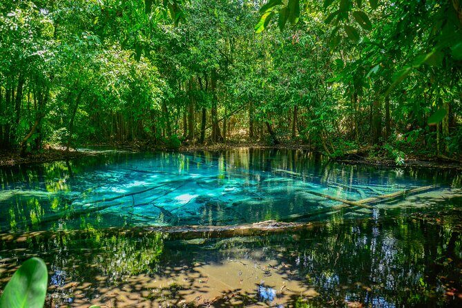 Krabi Jungle Escape Emerald Pool and Hot Springs Tour - Who Will Love This Tour?