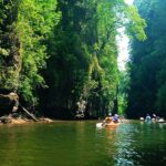 Krabi: Kayaking in Ao Thalane Bay Beautiful Mangrove Forest - The Review Highlights