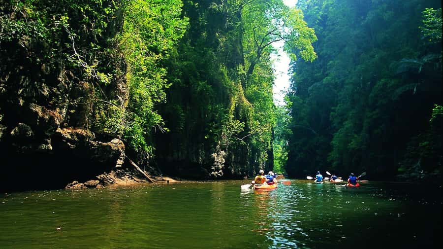 Krabi: Kayaking in Ao Thalane Bay Beautiful Mangrove Forest - The Review Highlights