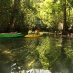 Krabi: Klong Sa Kaew (Hidden gem) Kayaking and Swimming Tour - Detailed Itinerary Breakdown