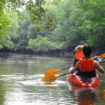 Krabi: Mangrove Kayak Adventure in Boh Tor, Ao Luek - Who Will Love This Tour