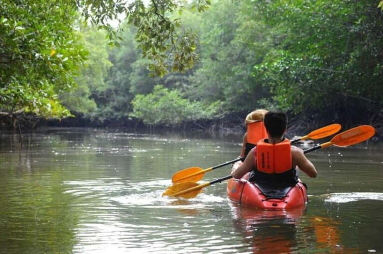 Krabi: Mangrove Kayak Adventure in Boh Tor, Ao Luek - Who Will Love This Tour