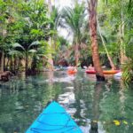 Krabi's Trio: Klong Root Kayak, Pineapple Farm & Local Art - Practical Info & Tips