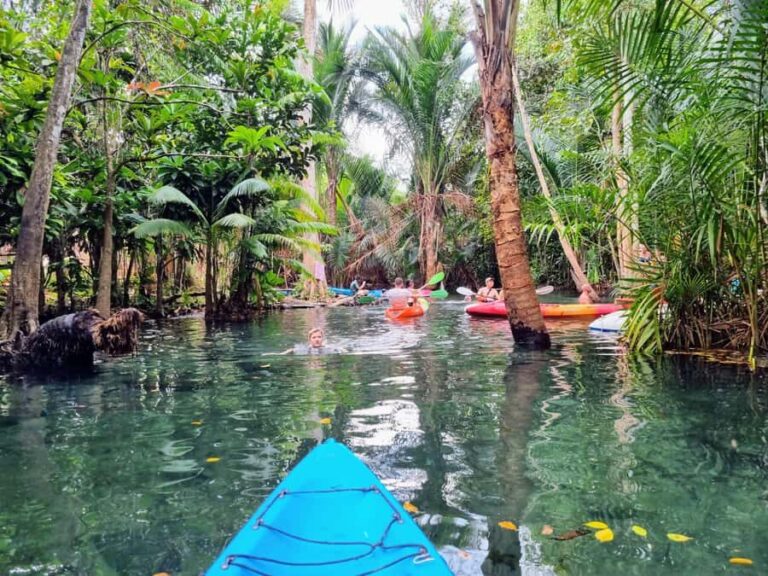 Krabi's Trio: Klong Root Kayak, Pineapple Farm & Local Art - Practical Info & Tips