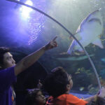 Kuala Lumpur: Aquaria KLCC Entry Ticket - What to Expect During Your Visit