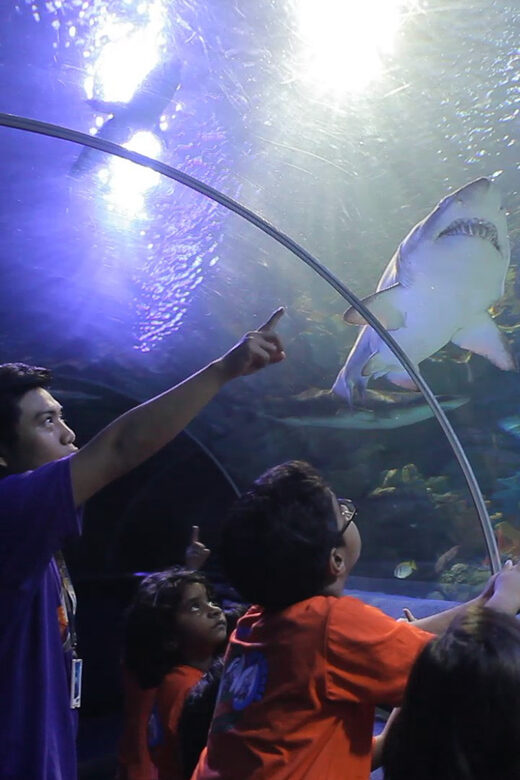 Kuala Lumpur: Aquaria KLCC Entry Ticket - What to Expect During Your Visit