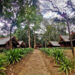 Kuala Lumpur: Taman Negara Tour w/Lata Berkoh Falls & Lunch - The Practical Side: What to Know Before You Go