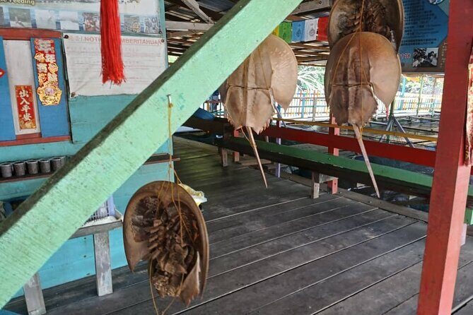 Kuala Sepetang Private Day Tour From Ipoh - What Makes This Tour Stand Out?