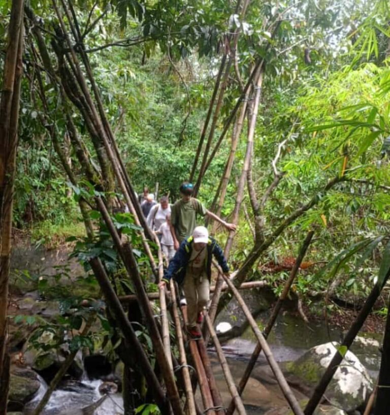 Kuching: Bengoh Valley & Susung Waterfall Day Trip - What to Expect on This Day Trip