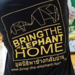 Kui Buri Wildlife Park & Community Living Beside Elephants - Who Will Enjoy This Tour?