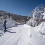 Kuju Forest Park Skiing Grounds Day Tour from Fukuoka - The Highlight: Snowy Beauty & Family-Friendly Slopes