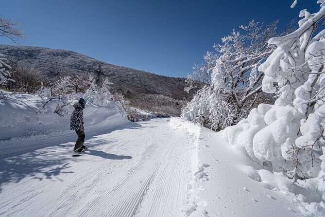 Kuju Forest Park Skiing Grounds Day Tour from Fukuoka - The Highlight: Snowy Beauty & Family-Friendly Slopes