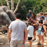 Kulen Elephant Forest and Banteay Srei Temple Tour - FAQs
