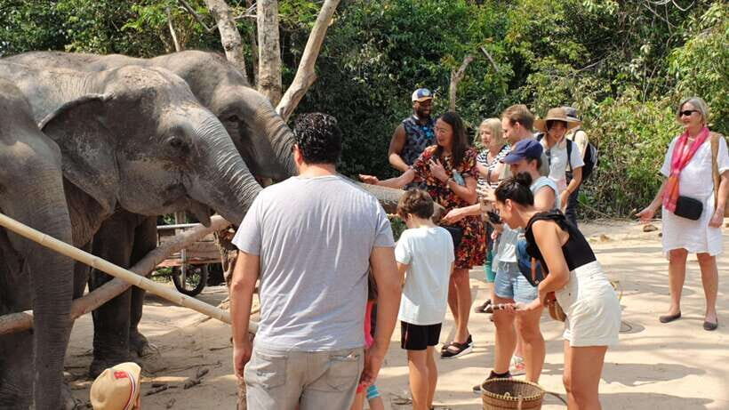Kulen Elephant Forest and Banteay Srei Temple Tour - FAQs