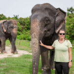 Kulen Elephant Forest Tour with Hotel Pick-up & Drop off - Detailed Insights from Reviewers
