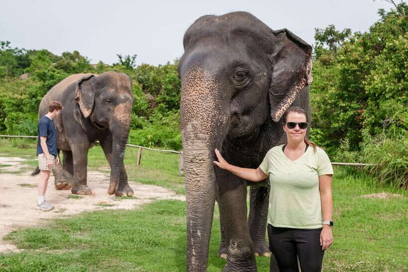 Kulen Elephant Forest Tour with Hotel Pick-up & Drop off - Detailed Insights from Reviewers