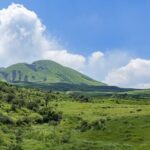 Kumamoto Castle Suizenji Garden and Aso Full-Day Tour Option - What Past Reviewers Have Said