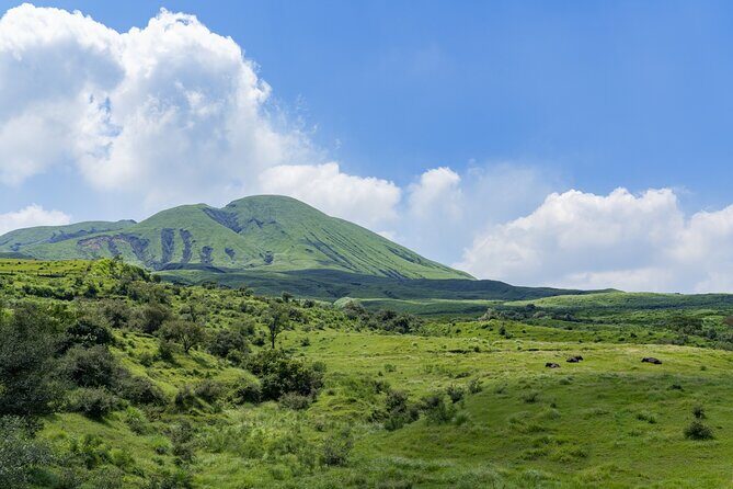 Kumamoto Castle Suizenji Garden and Aso Full-Day Tour Option - What Past Reviewers Have Said