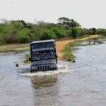 Kumana National Park Private Safari - The Value of the Price