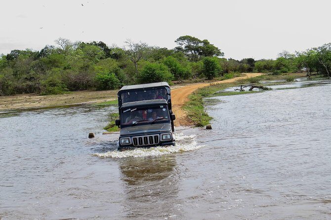Kumana National Park Private Safari - The Value of the Price