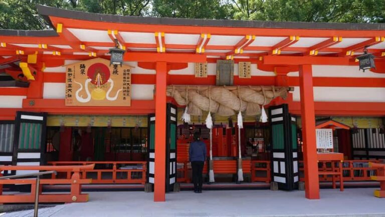 Kumano Kodo & Kumano Sanzan One-Day Tour from Osaka - The Experience: What You Can Expect