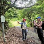 Kumano Kodo: Shishigase Pass Hike and Hot Spring Tour - What Makes This Tour Special?