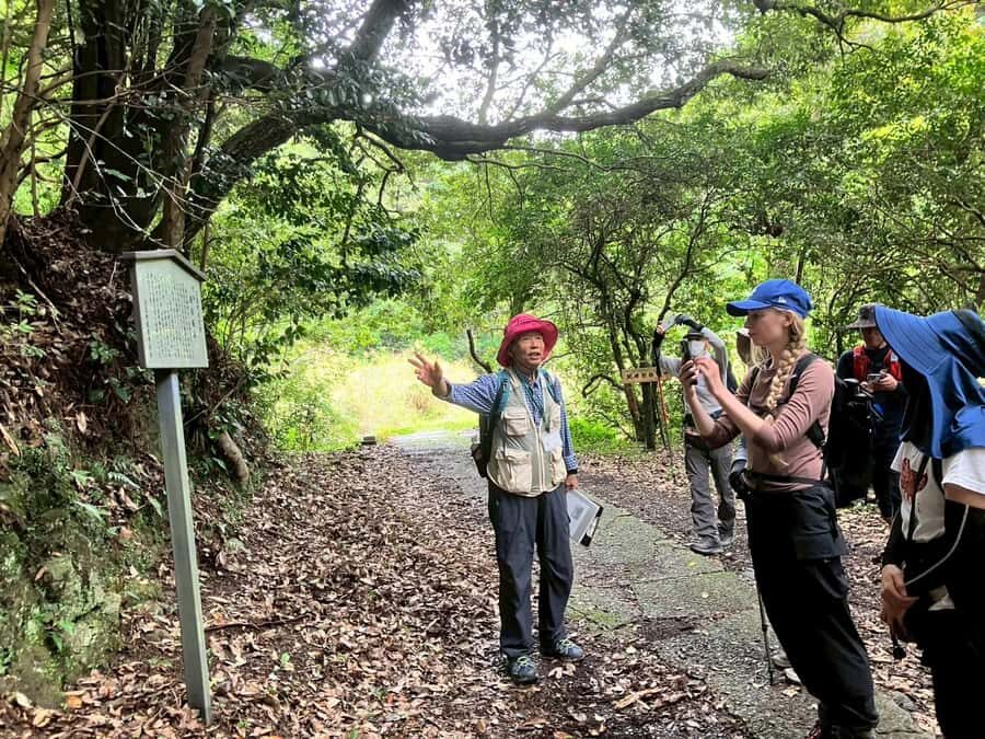 Kumano Kodo: Shishigase Pass Hike and Hot Spring Tour - What Makes This Tour Special?