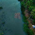 Kumarakom: Sunset Cruise with Village Life and Local Food - Practical Details and Tips