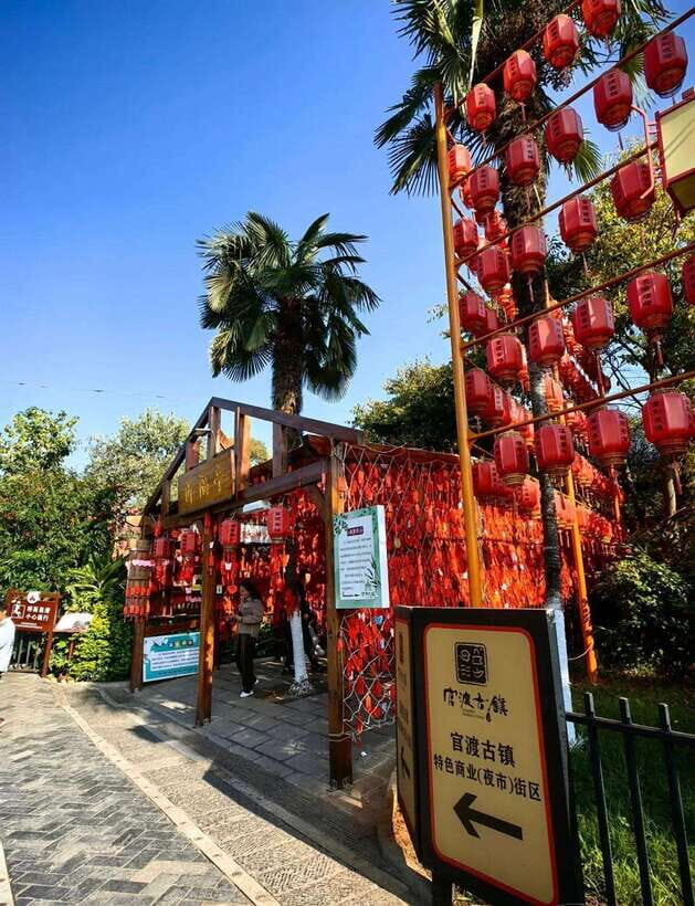 Kunming: Guandu Ancient Town Private Tour (Half-Day) - Who Will Love This Tour?