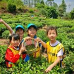 Kunming Private Tea-Making Experience with Hotel Pickup - Who Will Enjoy This Tour?