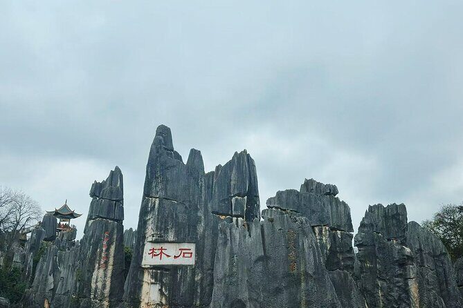 Kunming, Yunnan One Day Tour to Stone Forest Scenic Area - The Value of the Tour