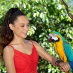 Kuranda Wildlife Experience: Koalas, Birds & Butterflies - A Closer Look at the Kuranda Wildlife Experience