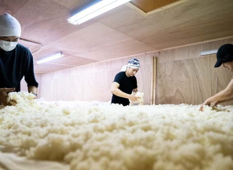 Kurume: Yamanokotobuki Sake Brewery Tour and Tasting - Exploring the Yamanokotobuki Sake Brewery Tour