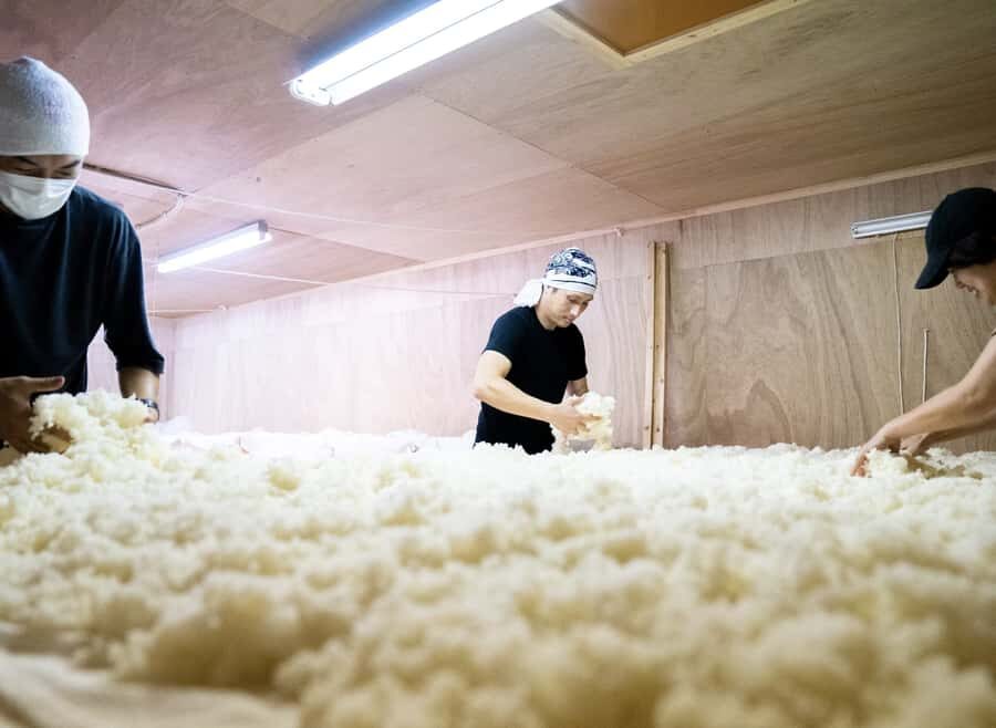 Kurume: Yamanokotobuki Sake Brewery Tour and Tasting - Exploring the Yamanokotobuki Sake Brewery Tour