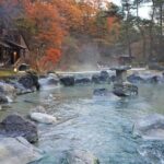 Kusatsu: Hot Spring Culture Walk at Yubatake & Sainokawara - Practicalities and Value