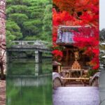 Kyoto 4 Iconic Sights Full-Day Private Tour - Exploring Kyoto’s Most Iconic Sights in One Day